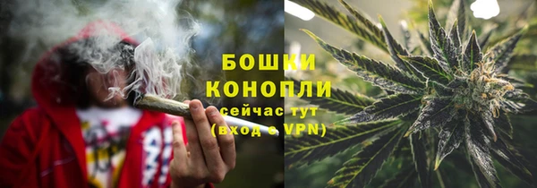 PSILOCYBIN Абаза