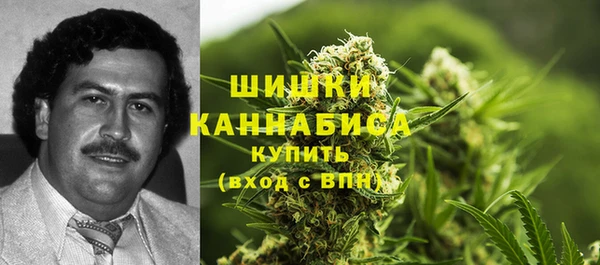 ешки Нефтегорск