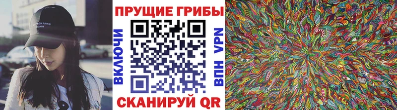 Галлюциногенные грибы GOLDEN TEACHER  где можно купить наркотик  Монино 